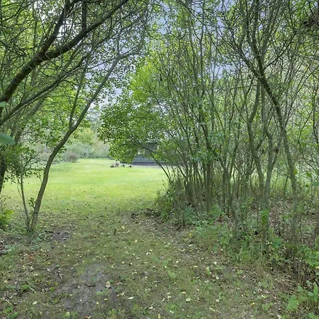 1552-aakirkeby-maegardsskoven-9 Vester Sømarken